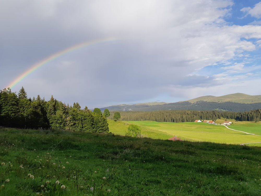 Aire de production du Bleu de Gex Haut-Jura