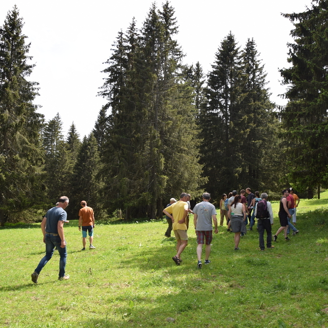 Formation : connaître la biodiversité du Haut-Jura